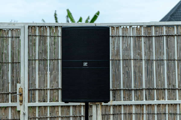 Professional Speaker System